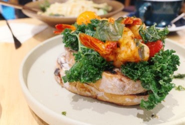 REACTION Coffee Roasters