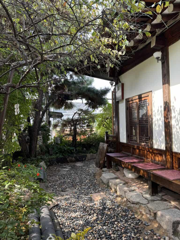 喝茶的庭院 環境